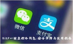 BitP一键监控冷钱包：安全保障与使用指南