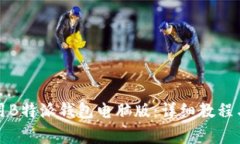 如何下载和使用B特派钱包电脑版：详细教程与常