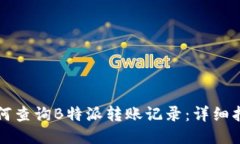 如何查询B特派转账记录：详细指南
