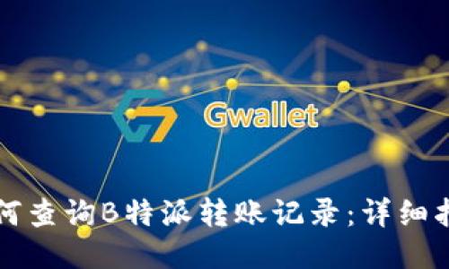 如何查询B特派转账记录：详细指南