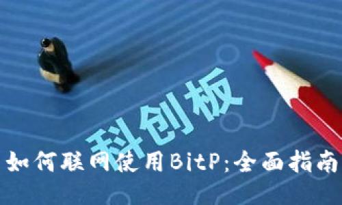 如何联网使用BitP：全面指南